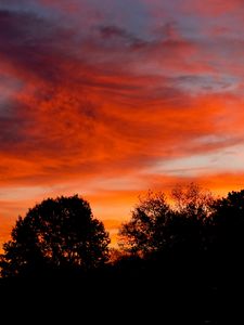 Preview wallpaper dusk, trees, dark, clouds, sunset