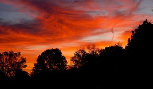 Preview wallpaper dusk, trees, dark, clouds, sunset