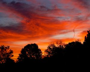 Preview wallpaper dusk, trees, dark, clouds, sunset