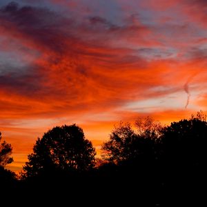 Preview wallpaper dusk, trees, dark, clouds, sunset