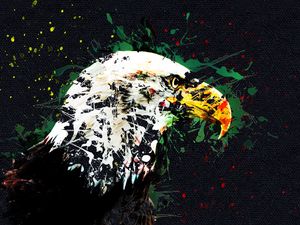 Preview wallpaper eagle, art, beak