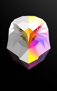 Preview wallpaper eagle, bird, art, polygon, geometric