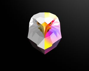 Preview wallpaper eagle, bird, art, polygon, geometric