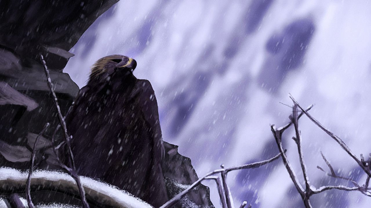 Wallpaper eagle, bird, art, snow, rock