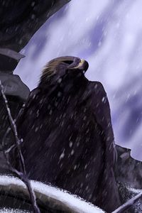Preview wallpaper eagle, bird, art, snow, rock