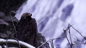 Preview wallpaper eagle, bird, art, snow, rock