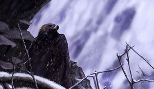 Preview wallpaper eagle, bird, art, snow, rock