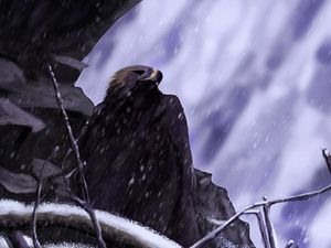 Preview wallpaper eagle, bird, art, snow, rock