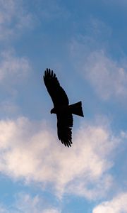 Preview wallpaper eagle, bird, flight, silhouette, sky