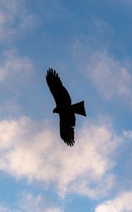 Preview wallpaper eagle, bird, flight, silhouette, sky