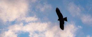 Preview wallpaper eagle, bird, flight, silhouette, sky