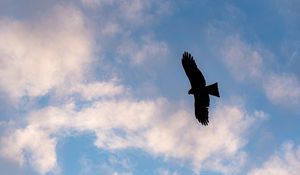 Preview wallpaper eagle, bird, flight, silhouette, sky