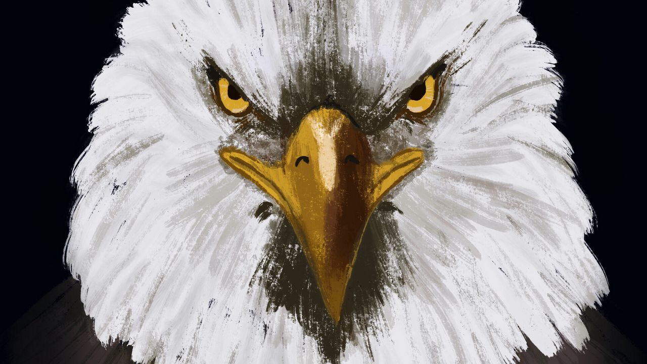 Wallpaper eagle, bird, head, art