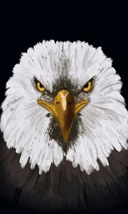 Preview wallpaper eagle, bird, head, art