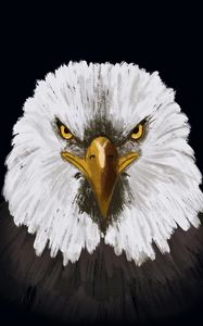 Preview wallpaper eagle, bird, head, art