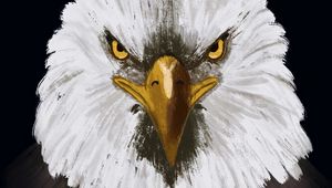Preview wallpaper eagle, bird, head, art