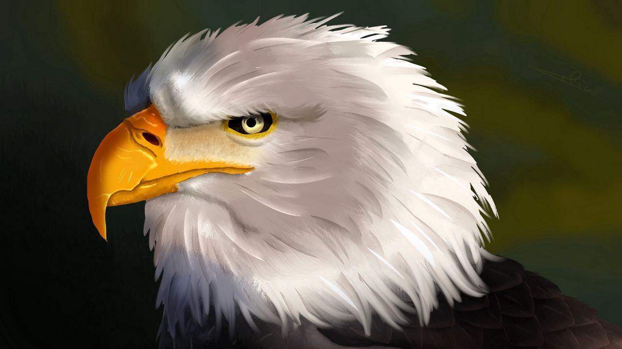 Wallpaper eagle, bird, head, white, art