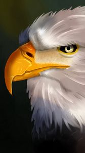 Eagle Wallpaper for iPhone 11 Pro Max X 8 7 6  Free Download on  3Wallpapers