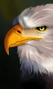 Preview wallpaper eagle, bird, head, white, art