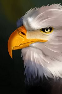 Preview wallpaper eagle, bird, head, white, art