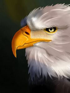 Preview wallpaper eagle, bird, head, white, art