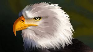 Preview wallpaper eagle, bird, head, white, art