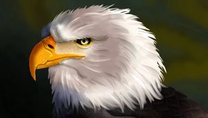 Preview wallpaper eagle, bird, head, white, art