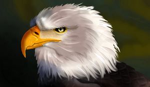 Preview wallpaper eagle, bird, head, white, art