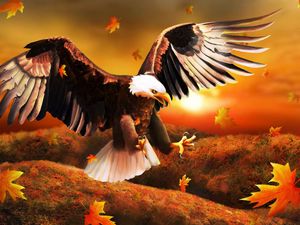Preview wallpaper eagle, bird, leaves, art