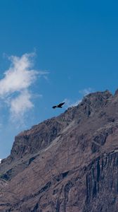 Preview wallpaper eagle, bird, rock, sky
