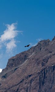 Preview wallpaper eagle, bird, rock, sky