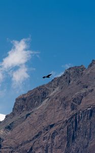 Preview wallpaper eagle, bird, rock, sky