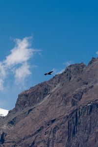 Preview wallpaper eagle, bird, rock, sky
