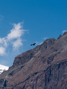 Preview wallpaper eagle, bird, rock, sky