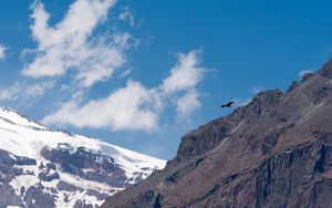 Preview wallpaper eagle, bird, rock, sky