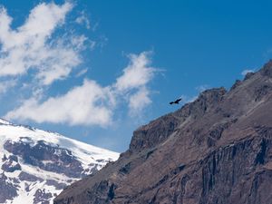 Preview wallpaper eagle, bird, rock, sky