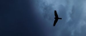 Preview wallpaper eagle, bird, silhouette, flight, sky