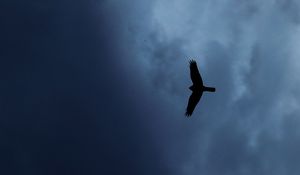 Preview wallpaper eagle, bird, silhouette, flight, sky