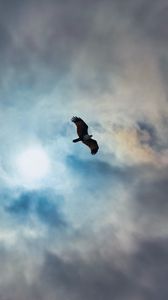 Preview wallpaper eagle, bird, wings, flight, clouds, sky