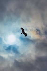 Preview wallpaper eagle, bird, wings, flight, clouds, sky