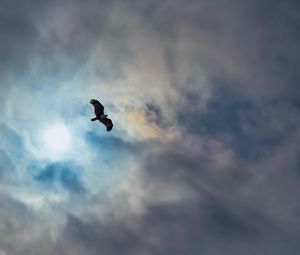Preview wallpaper eagle, bird, wings, flight, clouds, sky