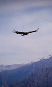 Preview wallpaper eagle, bird, wings, flight, rocks, sky