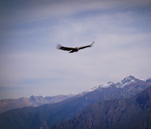 Preview wallpaper eagle, bird, wings, flight, rocks, sky