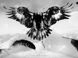 Preview wallpaper eagle, hare, art, bird, feathers, mountains