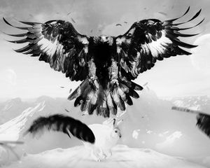 Preview wallpaper eagle, hare, art, bird, feathers, mountains