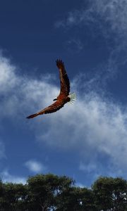 Preview wallpaper eagle, sky, clouds, flight, wings, flap