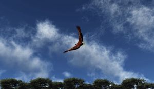 Preview wallpaper eagle, sky, clouds, flight, wings, flap