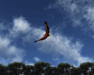 Preview wallpaper eagle, sky, clouds, flight, wings, flap