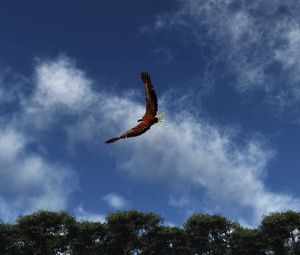 Preview wallpaper eagle, sky, clouds, flight, wings, flap