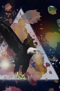Preview wallpaper eagle, triangles, paint, light, brush